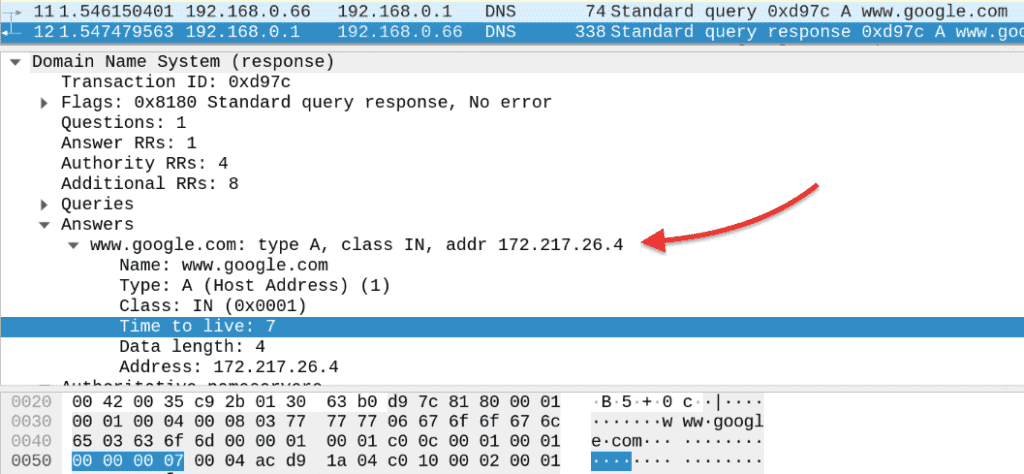 DNS query response packet capture