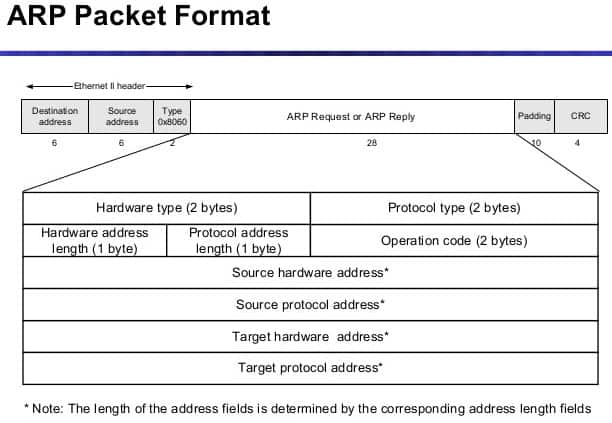 ARP Packet Format