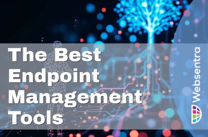 Endpoint Management Tools