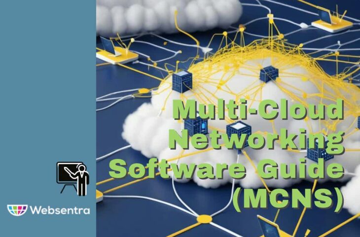 Multi-Cloud Networking Software Guide (MCNS)