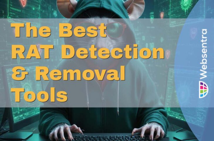 The Best RAT Detection and Removal Tools