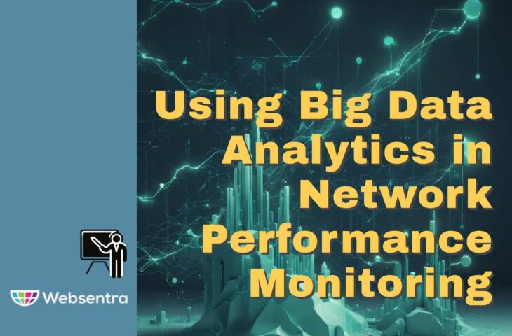 Using Big Data Analytics in Network Performance Monitoring