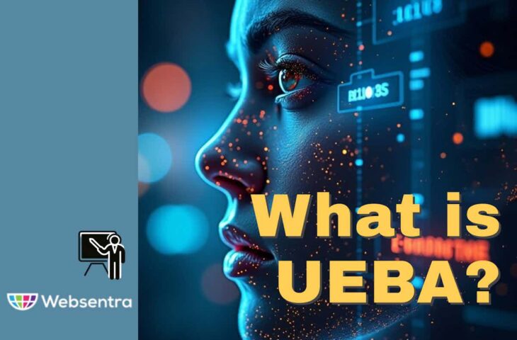 What is User and Entity Behavior Analytics (UEBA)?