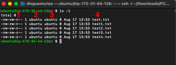 Output of $ls -l command