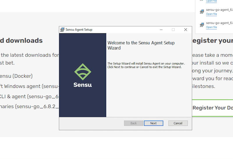 Installing the Sensu agent