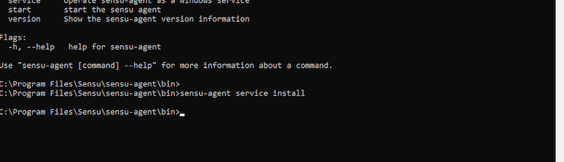 Sensu-agent service install