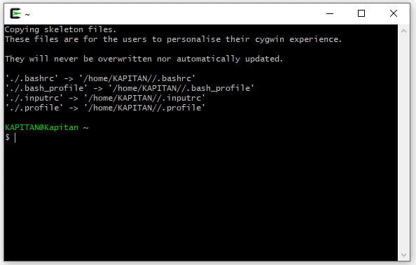 launch the Cygwin terminal, run it as an Administrator