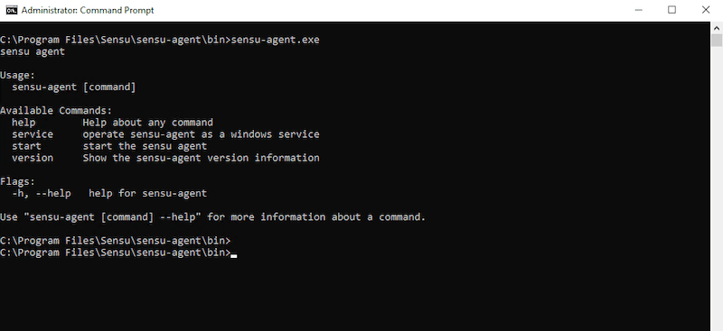Run the executable: sensu-agent.exe
