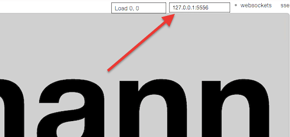 Riemann server’s IP