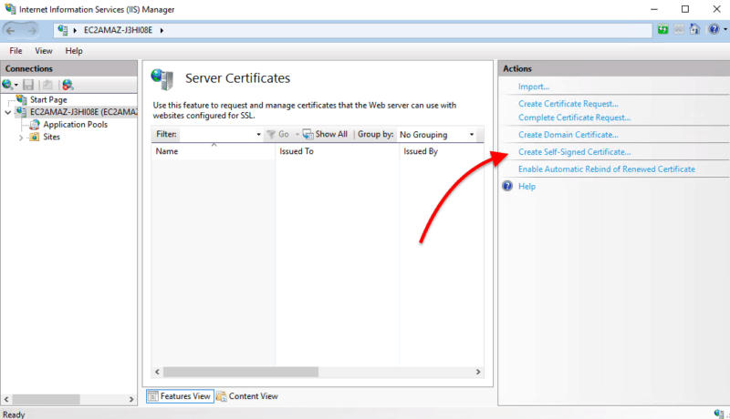 choose the option “Create Self-Signed Certificate”